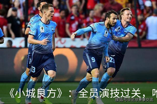 《小城良方》：全员演技过关，唯有一人是败笔，全程耷拉着脸！