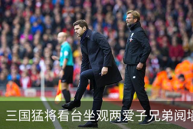 三国猛将看台坐观两爱子兄弟阋墙 弟弟更比哥哥强？
