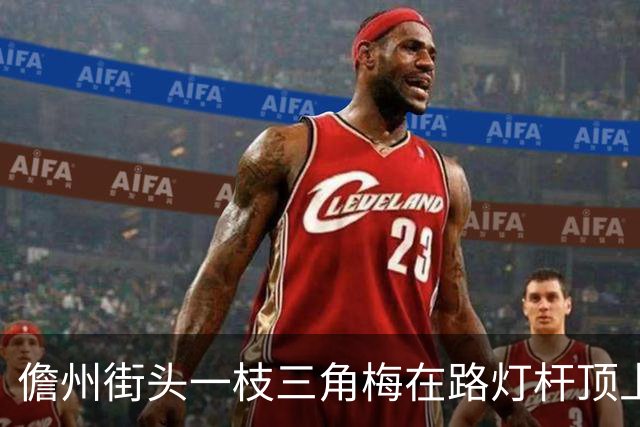 儋州街头一枝三角梅在路灯杆顶上开花，被赞“全网最努力”，园林管理局：其生长状况良好