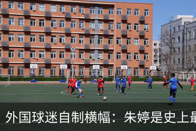 外国球迷自制横幅：朱婷是史上最伟大球员！网友：为何回不了中国女排