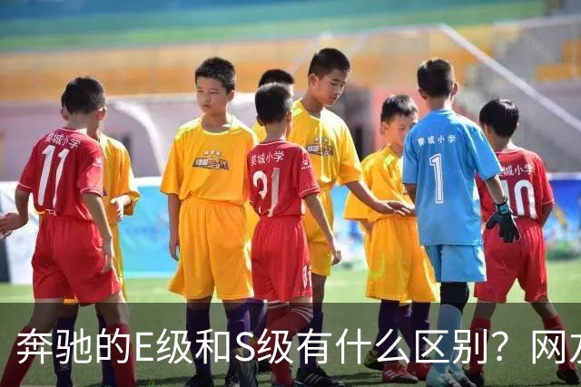 奔驰的E级和S级有什么区别？网友：第一次感觉到，这座城市属于我