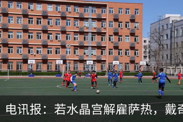 电讯报：若水晶宫解雇萨热，戴奇是接任热门人选