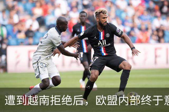 遭到越南拒绝后，欧盟内部终于意识到：什么叫 “中国力量”！