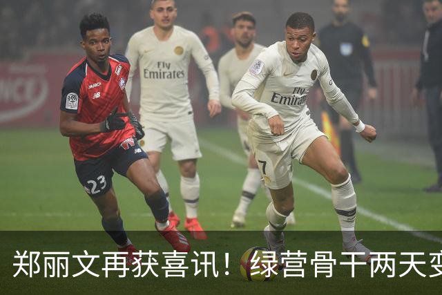 郑丽文再获喜讯！绿营骨干两天变蓝